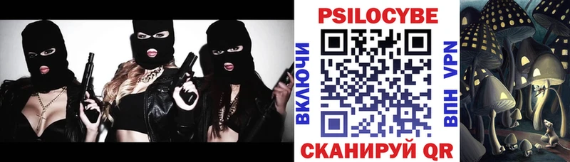 Псилоцибиновые грибы Cubensis  Купить закладки  Дегтярск 